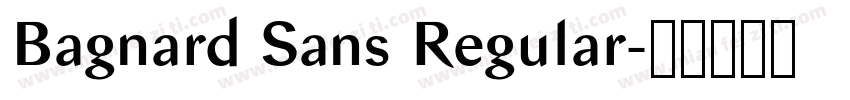 Bagnard Sans Regular字体转换